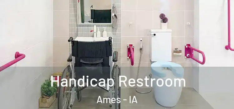 Handicap Restroom Ames - IA