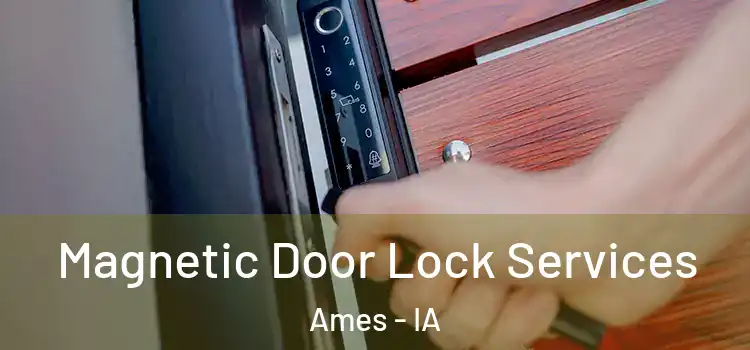 Magnetic Door Lock Services Ames - IA