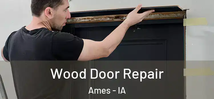 Wood Door Repair Ames - IA